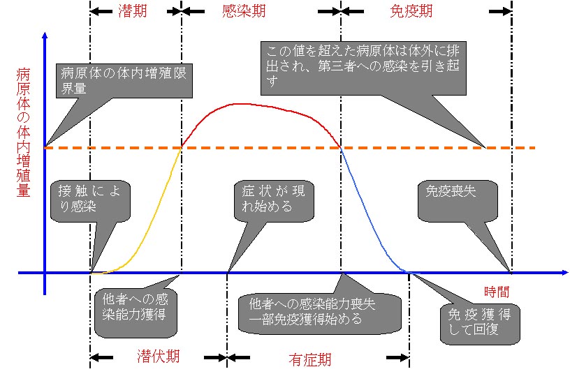 infection2imnization