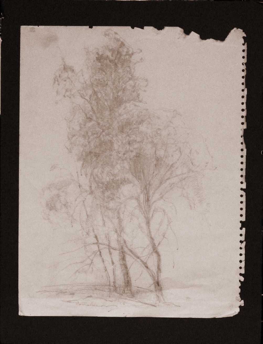 c1963 pencil landscape