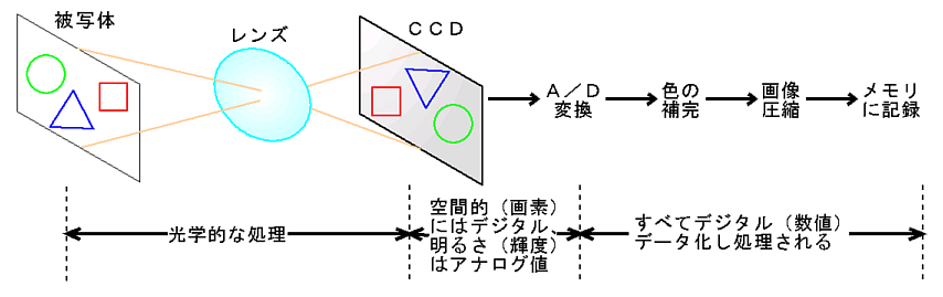 ǥṽ¤ǰ